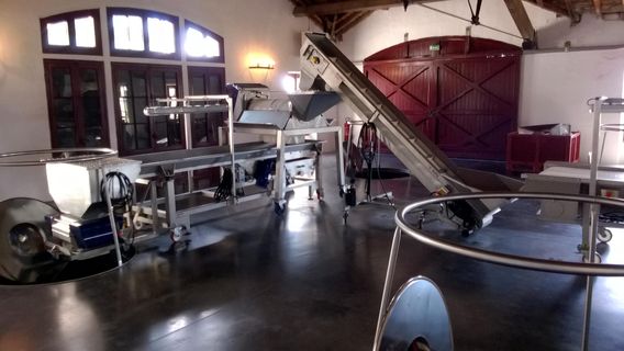 Castle Pontet-Canet