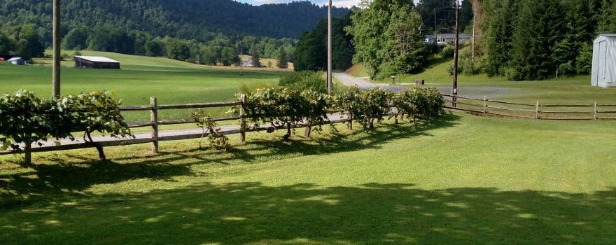Kirkwood Winery & Isaiah Morgan Distillery