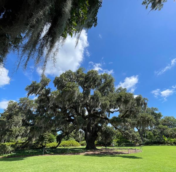 Fort Lauderdale to Wilmington flight