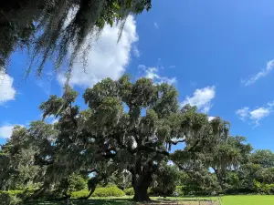 Airlie Gardens