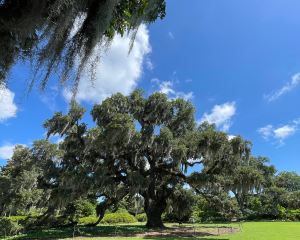 香港-威爾明頓 機票酒店 自由行