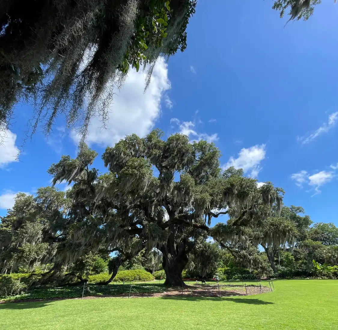 Các khách sạn gần Airlie Gardens