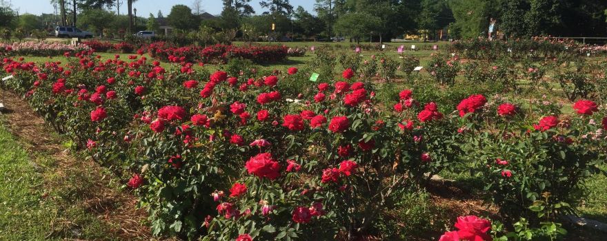 Edisto Memorial Gardens