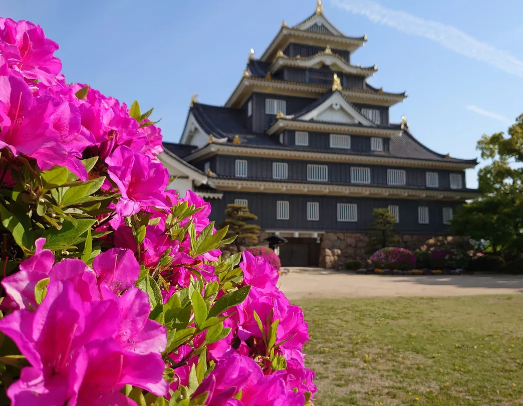 2_岡山城