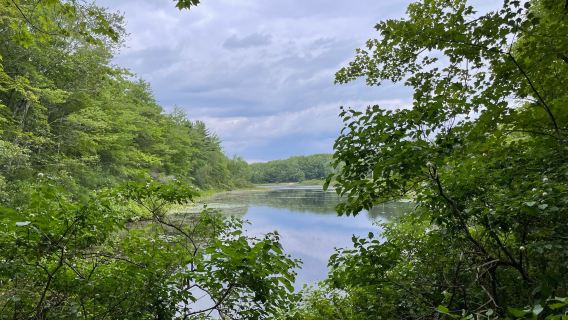 Ferry Beach State Park