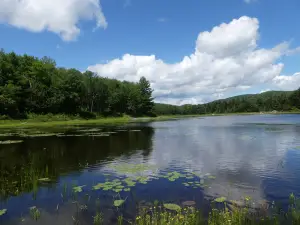 Pillsbury State Park