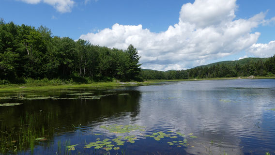 Sullivan County