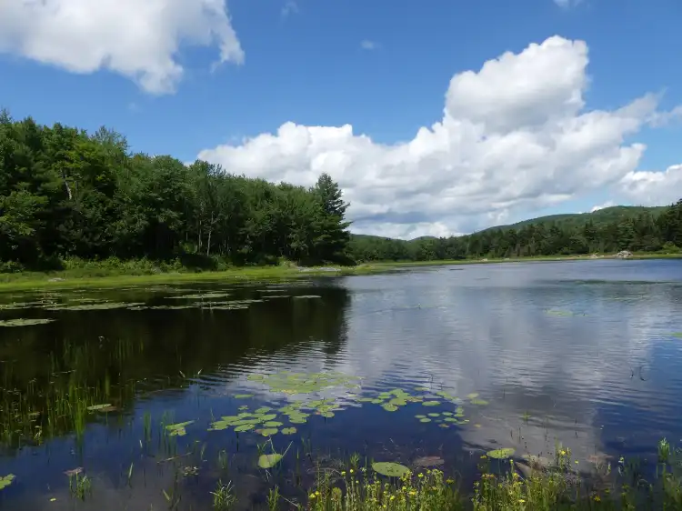 فنادق في Sullivan County