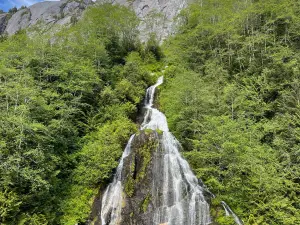 Punchbowl Cove in Misty Fjord National Monument