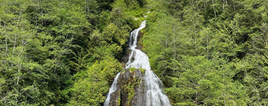 Punchbowl Cove in Misty Fjord National Monument