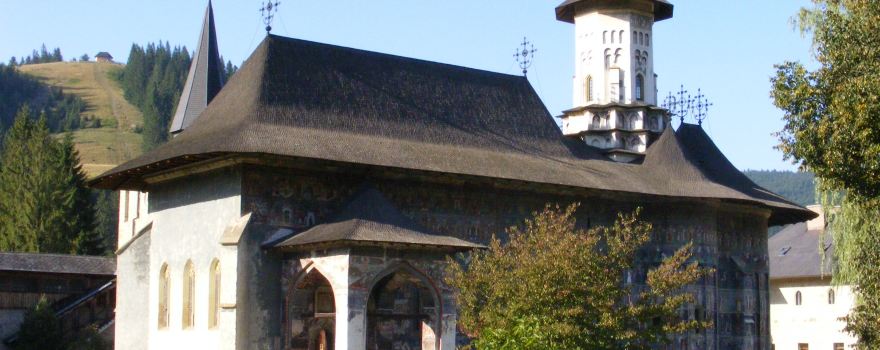 Sucevita