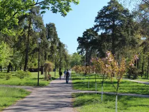 Park Kyoto