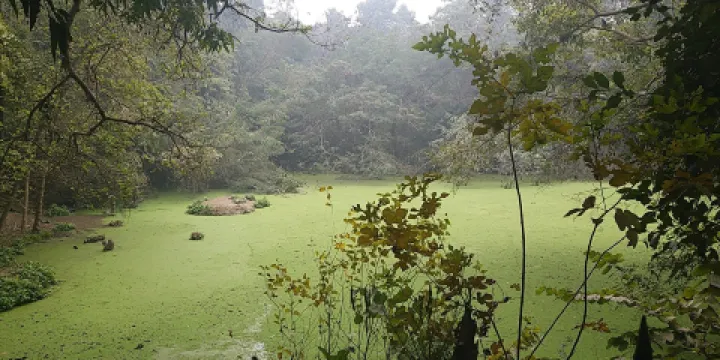 Kukrail Forest Reserve