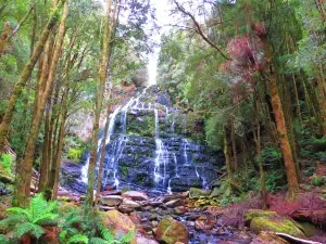 Nelson Falls
