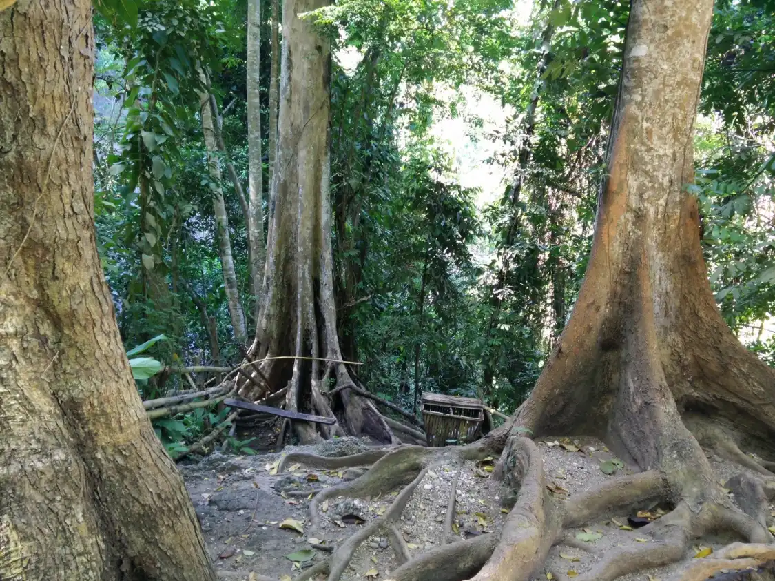 Hotels near Tagbaobo Falls