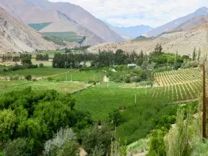 Cavas Del Valle