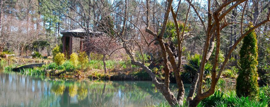 Moore Farms Botanical Garden