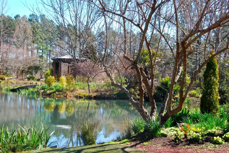 Williamsburg County
