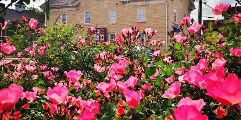 French Heritage Museum