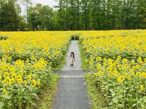 Hokuryu Sunflower Village