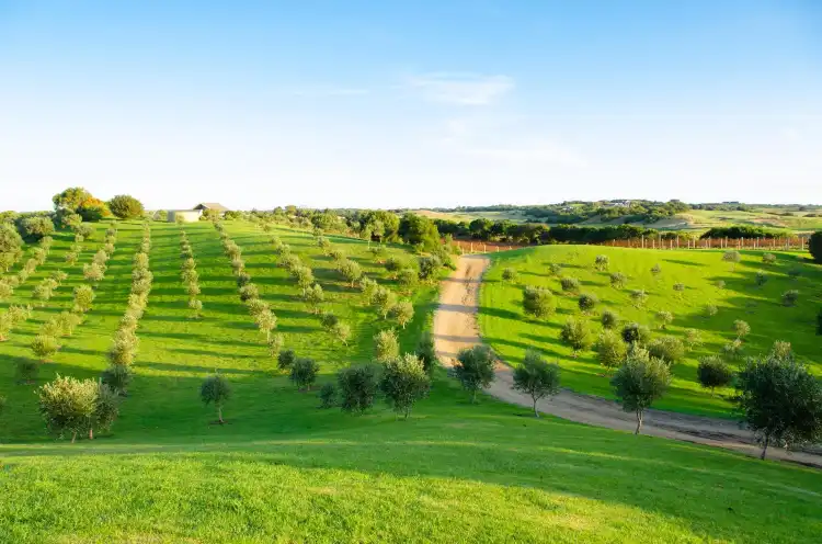 Hotels in Fingal