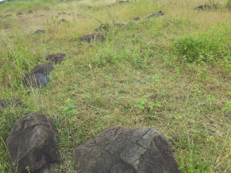 Hotels in Makardhokda