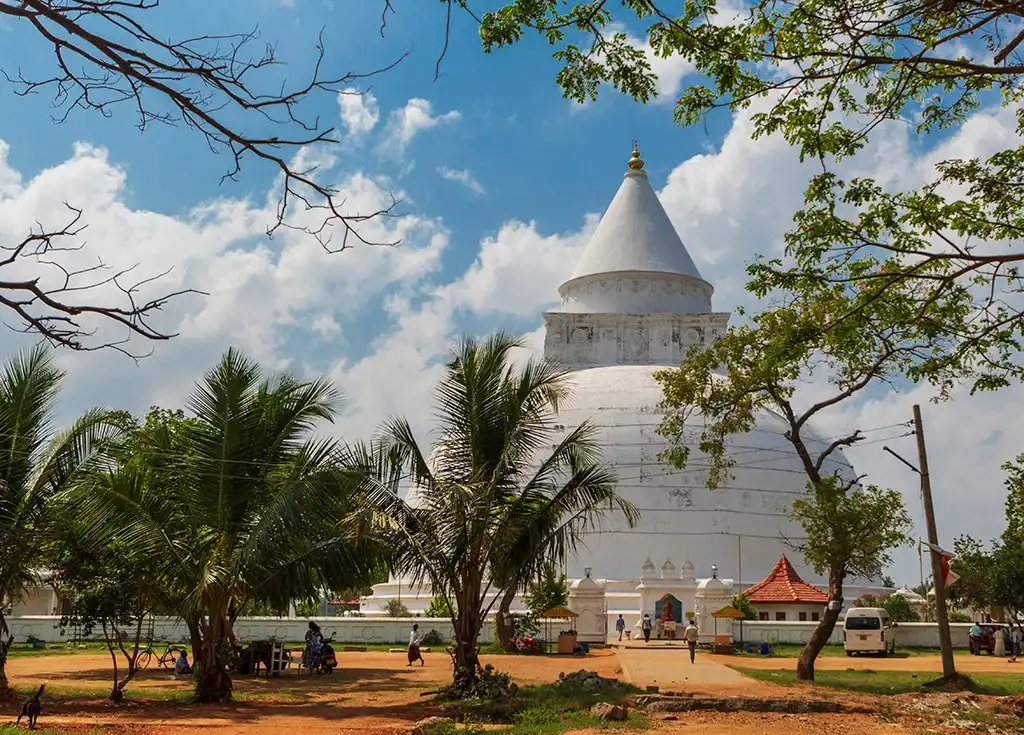 Hotels near Tissamaharama Raja Maha Vihara