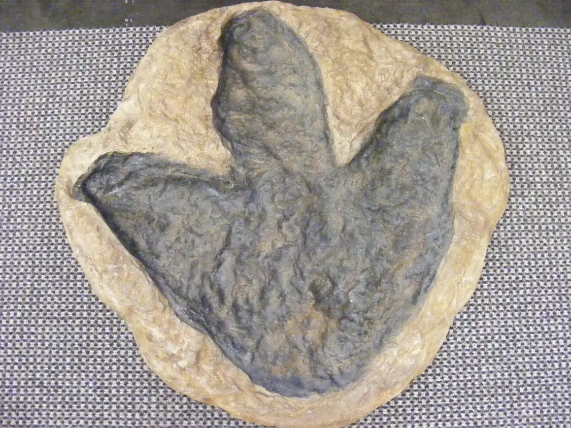 Tulsa Geoscience Center 주변 호텔