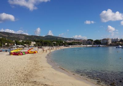 Palma Nova