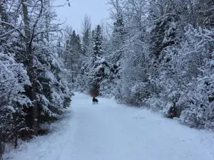 Three Mile Bend