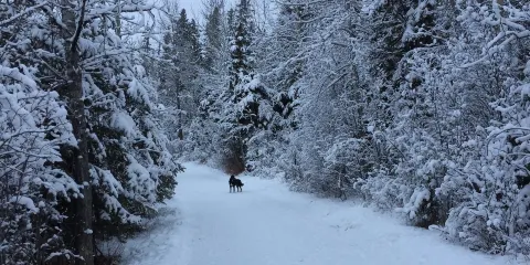 Three Mile Bend Recreation Area