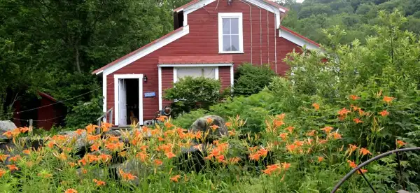 Comfort Inn Properties in Hampshire County