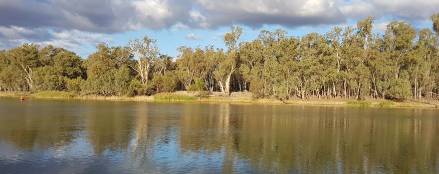 Merbein Common