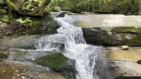 Old Jelly Mill Falls