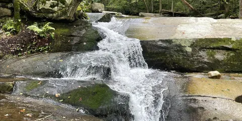 Old Jelly Mill Falls