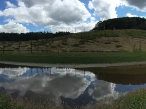 Lake Guerlédan