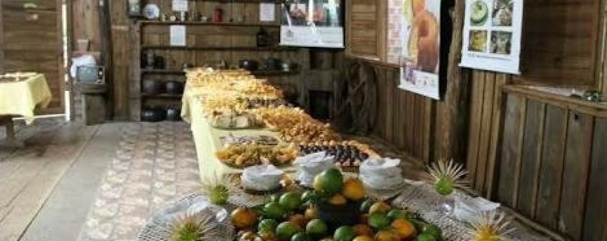 Sitio Steffen