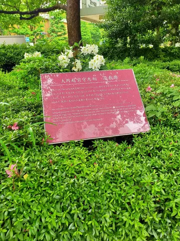 5_大岡越前忠相屋敷跡