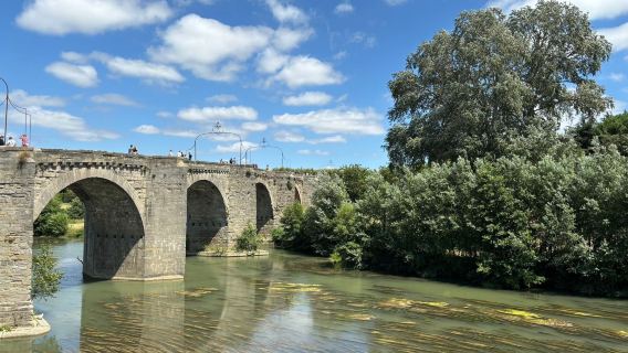 Le Pont Vieux (The Old Bridge)