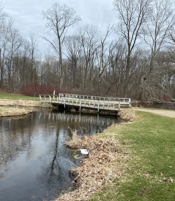 Prairie Ronde Township