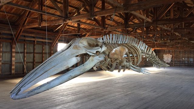 Museum of Historia Natural Rio Seco