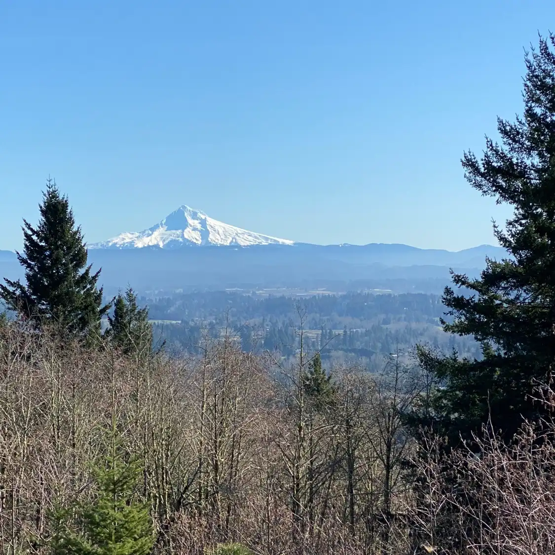 Hotels near Hogan Butte Nature Park