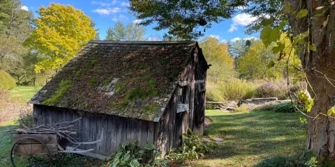 Berkshire Botanical Garden