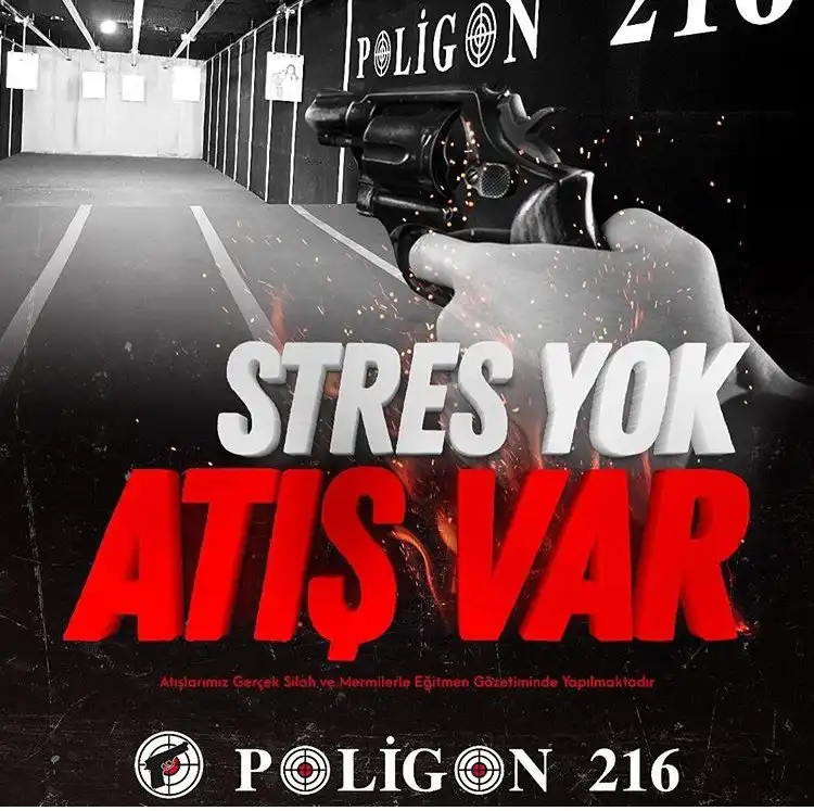 4_Poligon 216