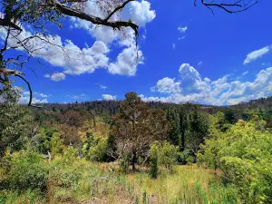 Fairy Cave - Buchan Caves