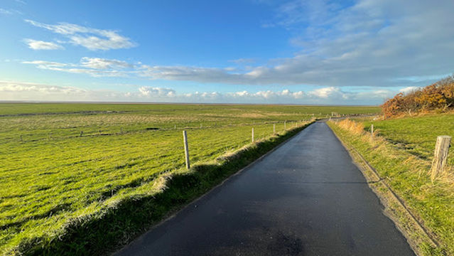 Cuxhavener Küstenheiden