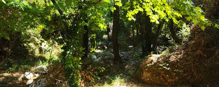 Kara Creek
