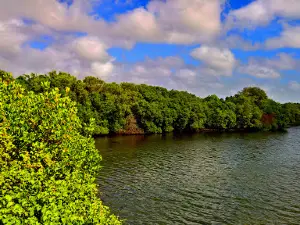 Anawilundawa Bird Sanctuary