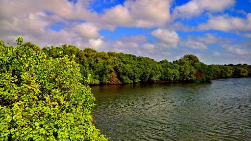 Anawilundawa Bird Sanctuary