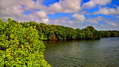 Anawilundawa Bird Sanctuary